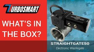 Whats in the Box? - TS-0565-1002 eSG50 Electronic StraightGate50