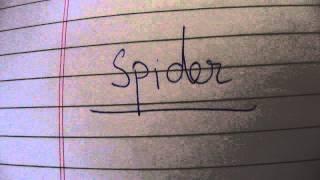 animal symbols what can seeing a spider mean?