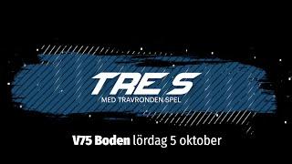 Speltips V75 Boden 5 oktober