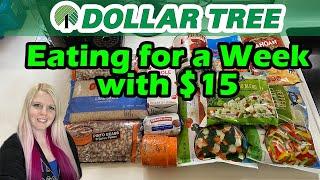 Eating for $15 a Week from Dollar Tree  Extreme Budget Meal Plan