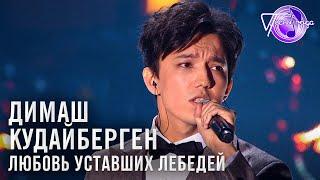 Димаш Кудайберген - Любовь уставших лебедей  Песня года 2018