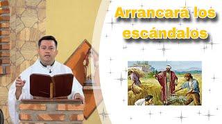 Arrancará los escándalos - Padre Ricardo Prato