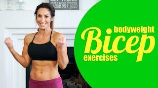 ​Bicep Exercises Using Your Own Body Weight  Natalie Jill