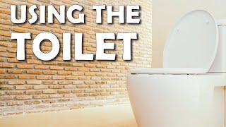 How do you use the Toilet - Mufti Menk