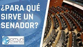 FUNCIONES DE UN SENADOR EN MÉXICO 