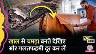 Leather Making Process  इतना चमड़ा आता कहां से है और जाता कहां है सब जान लीजिए  Punjab Industry