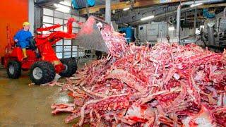 Amazing Process of How JELLY is Made  GELATIN Manufacturing Process