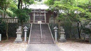 Beautiful Woodland Japanese Shrine