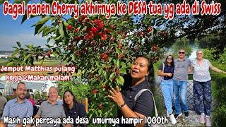 GAGAL PANEN CHERRY⁉️Jemput Matthias pulang kerja  berkunjung ke DESA yg umurnya hampir 1000 Th 