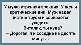 Жена Отправила Мужа к Соседке Сборник Свежих Анекдотов Юмор