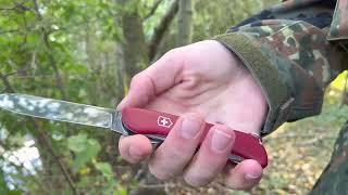 Victorinox Picknicker das große Spartan Das EDC Messer für alle Aufgaben?