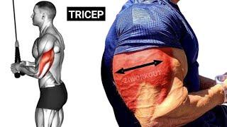 6 Killer Tricep Exercises to Build Bigger Arms at the Gym  Tricep Workout