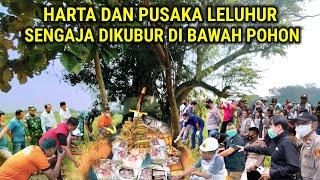 Heboh  Harta Dan Pusaka Leluhur Ditemukan Terkubur Ratusan Tahun Dibawah Pohon Keramat