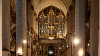 The Carl A. Buchholz Organ 1839 from The Black Church