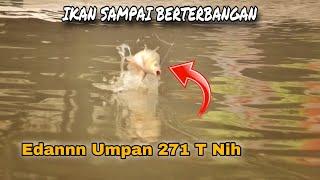 Umpan Dimakan Ikan Uang Rakyat 271 T Dimakan Si Anu