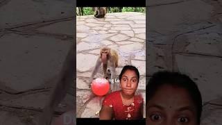 wow এটা কি #shortfeed #funny #monkeydubbing #funnymonkeydubbinng #dubbingleela #trendingshorts