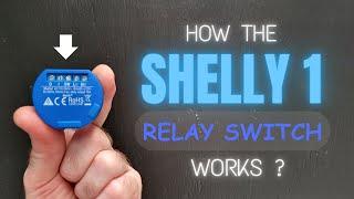 How does the Shelly 1 Smart Relay Switch work?