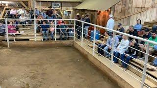 HORSE SALE MARCH 42023