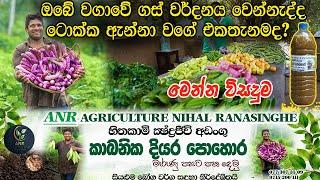 වගාව සරුකරන  කාබනික දියර පොහොර Organic Liquid Fertilizers கரிம திரவ உரங்கள் kabanika diyara pohora