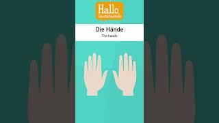 Ich habe zwei Hände. Ich habe eine Nase. #deutschlernen #wortschatz #deutscha1