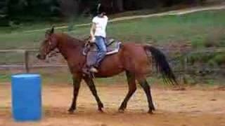 Riding A Horse Backwards