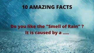 10 Amazing Facts - Do You Love the Smell of Rain? Here is the FACT