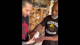Mike Tyson invited Muhammad Ali’s grandson Nico Ali Walsh to see his pigeons… @NicoAliX74