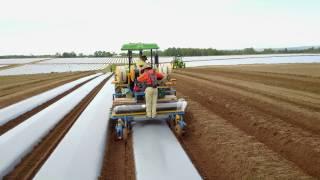 GDM EzyLay Plastic Mulch Layer