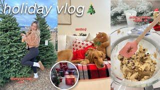 the ULTIMATE holiday vlog ️  baking cookies real christmas tree vlogmas 2023