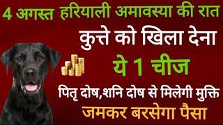 4 अगस्त हरियाली अमावस्या पर काले कुत्ते को खिला दें ये एक गुप्त चीज होगी हर मनोकामना पूर्ण