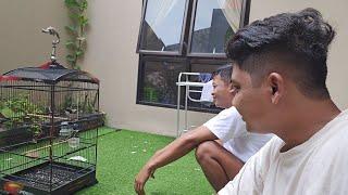 AJAK GANTANG MANUK  PUTRI NTUL NTUL NGANJUK