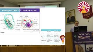 Лекция по клинической микологии фрагмент Роман Овчинников 2021