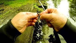 How to underwater fishing catching perch with worms. Подводная рыбалка на окуня.