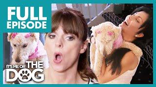 Boyfriend Walks Out on Girlfriend who Loves Dogs More  Full Episode  Its Me or the Dog