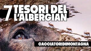 I Tesori dellAlbergian  Caccia Al Cervo in Alta Montagna