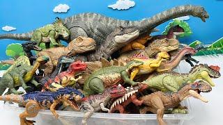 50 Dinosaur Box With Apatosaurus Giant Dinos 41+ Inch And Tyrannosaurus