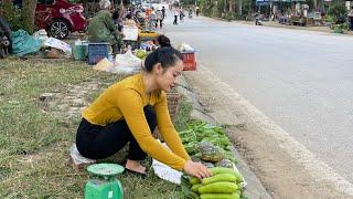 FULL VIDEO 60 Day Go to the market to sell melon squash vegetables eggplant & take care of pets.