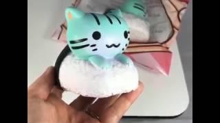 Super Slow Rise ToysBoxShop SCENTED Sushi Cats Squishy - Jenna Lyn