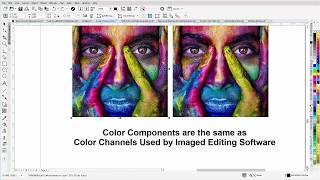 A Peek at Color and Color Separation Training I am Working on