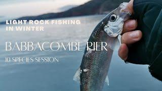 Light Rock Fishing in Winter - Babbacombe Pier - 10 Species Session