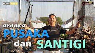 SELAGI BOS KELUAR DIAM DIAM REVIEW KOLEKSI PUSAKA DAN SANTIGI