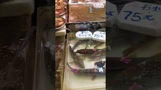 fish marketseafood #food #belanja #hongkong #belanjahemat #tkwhongkong