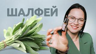 ШАЛФЕЙ - народное средство от бесплодия и кашля? Что может эфирное масло? Разбираемся