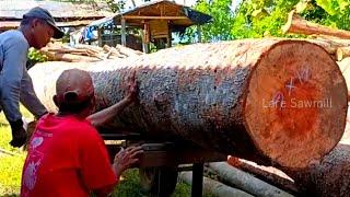 Sawing large wadang logs 3.5 meters long into planks for the truck bed