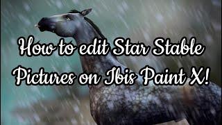 How to edit star stable on Ibis Paint X   Star Stable Online 