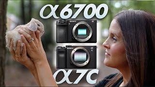 Sony a6700 vs Sony A7C - Which Hybrid Camera is Better?