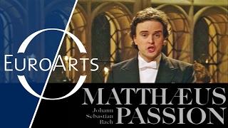 Bach - St. Matthew Passion Cambridge 1994