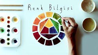 RENK BİLGİSİ - AnaAraSıcakSoğukZıt RenklerRenk Karışımları ve Tonları