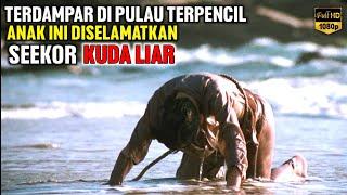 TERDAMPAR DIPULAU TAK BERPENGHUNI bersama seekor kuda liar