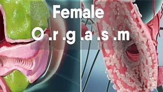 female orgasm  Female anatomy and biology
